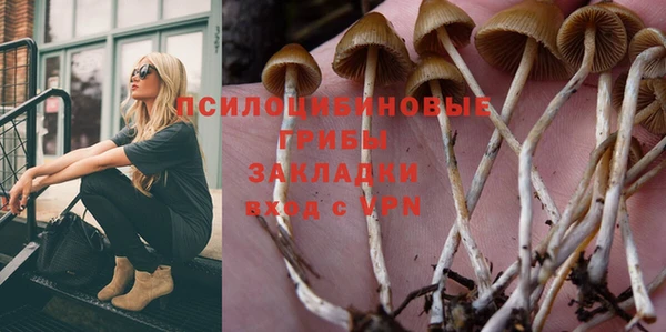 apvp Киреевск