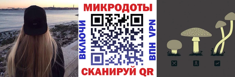 Галлюциногенные грибы Psilocybe  Сыктывкар 