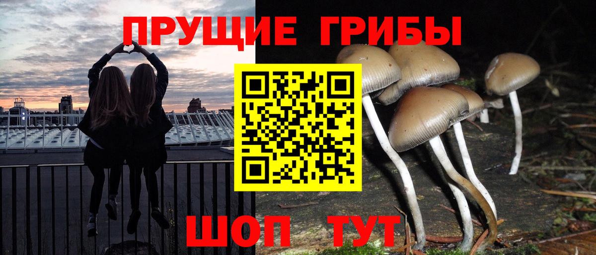 что такое   Вход с VPN  Псилоцибиновые грибы Psilocybe  Сыктывкар  Галлюциногенные грибы GOLDEN TEACHER 